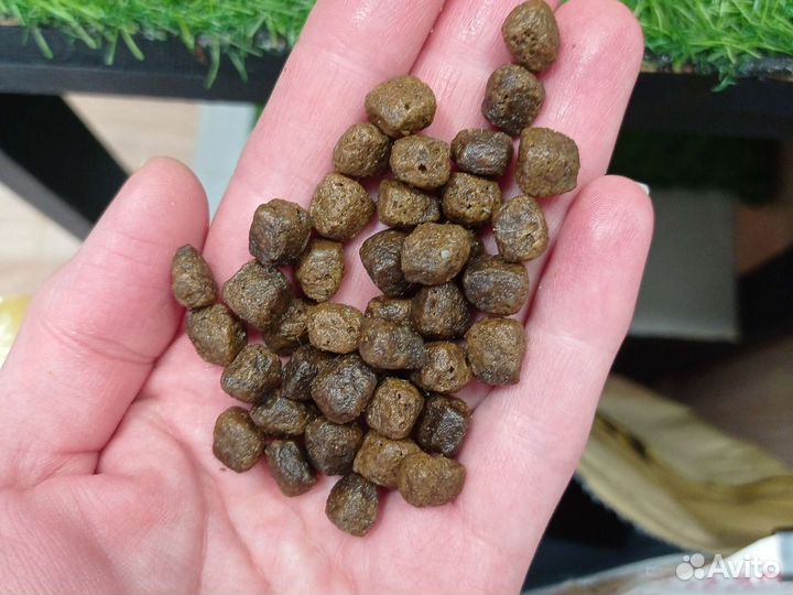 Wolfsblut корм для щенков с мясом оленя