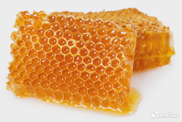 Соты с мёдом и пергой