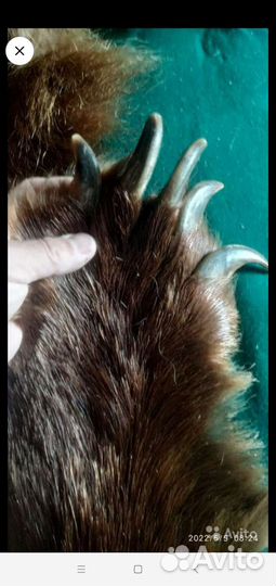 Шкура медведя имитация