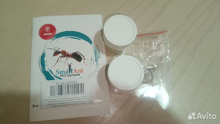 Муравьиная ферма горизонтальная