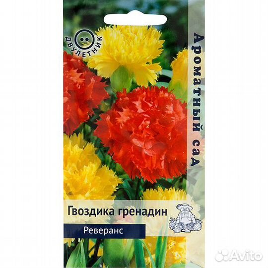 Гвоздика Гренадин Реверанс