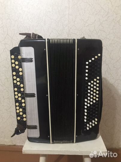 Баян волгоградский