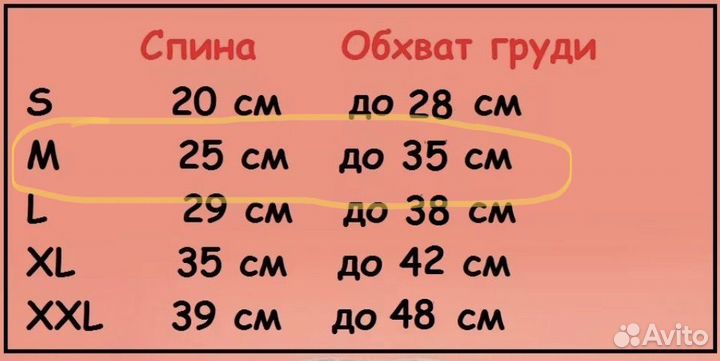 Теплый комбинезон для собак мелких пород