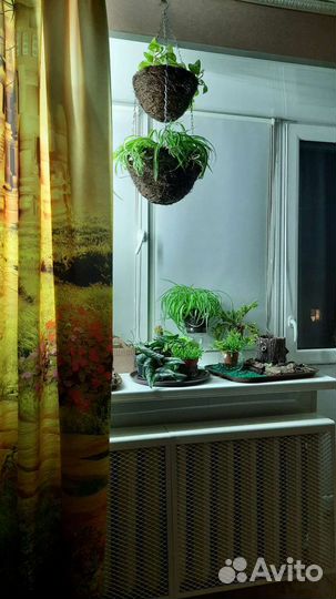 Кашпо подвесное плетеное двухъярусное/экодизайн