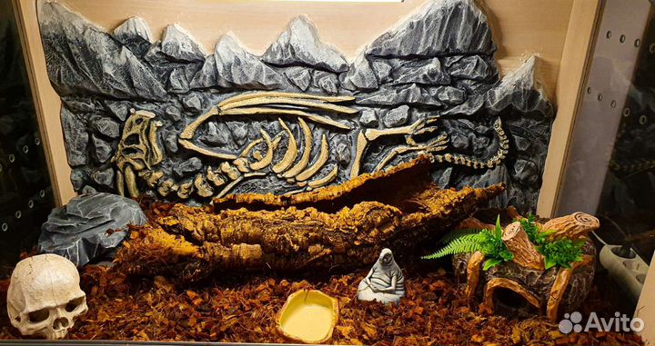 Террариум лдсп 100х50х50