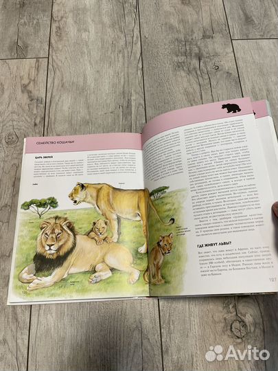 Детские книги пакетом