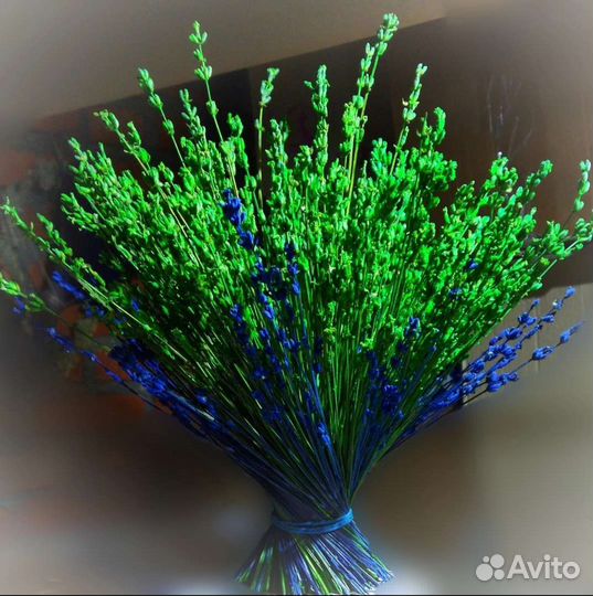 Лаванда сухоцвет букет