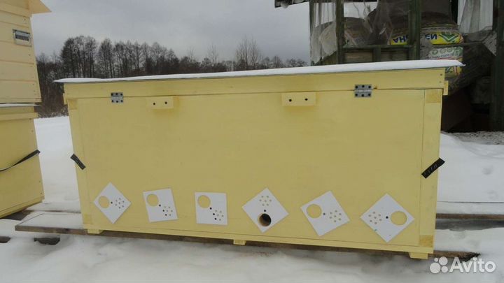 Ульи Владимирские, Дадан и Рута. Каркасные