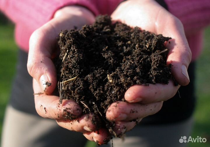 Земля плодородная, Торфогрунт, Грунт растительный