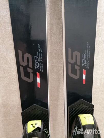 Горные лыжи Fischer gs