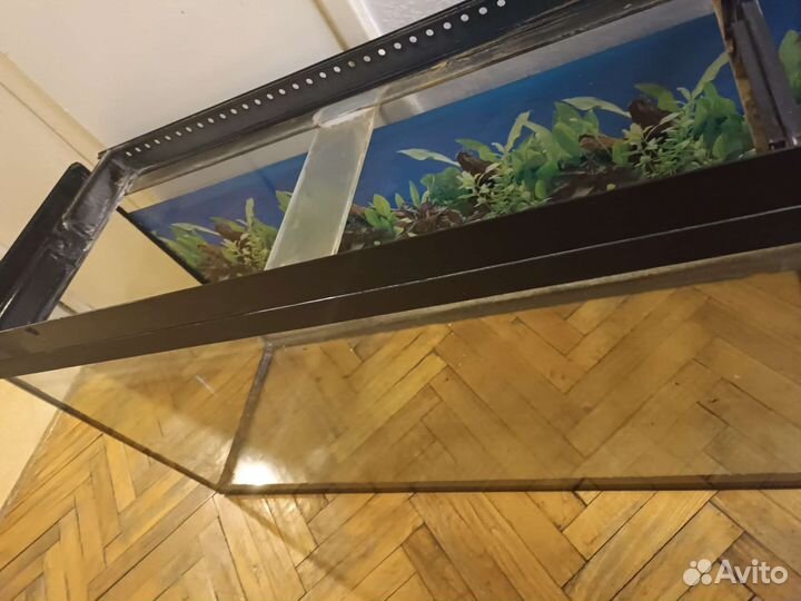 Аквариум на 260 литров