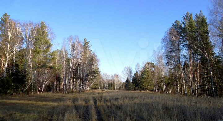 Участок 63,7 сот. (СНТ, ДНП)