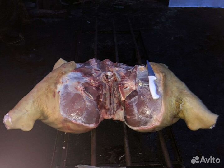 Мясо свинина домашняя