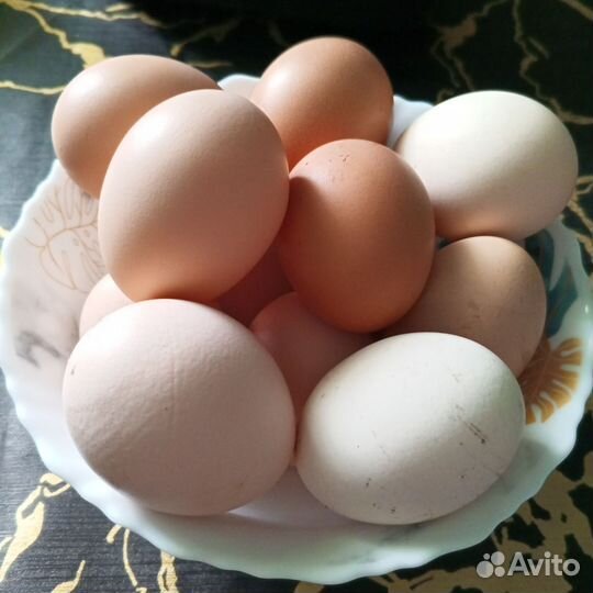 Домашние куриные яйца, для еды и инкубации