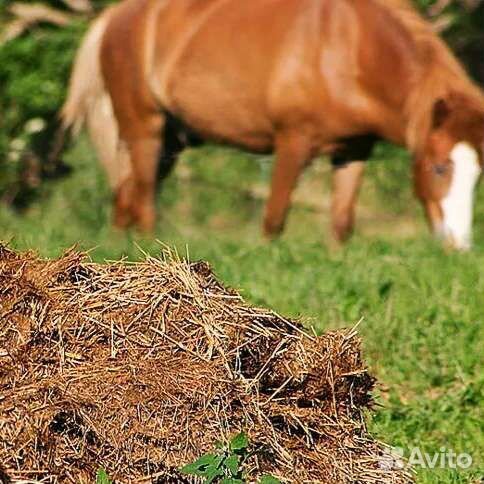 Конский навоз перегной