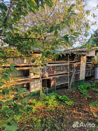 Клетки для кроликов бу