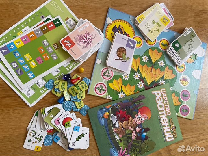 Детская игра по ботанике 