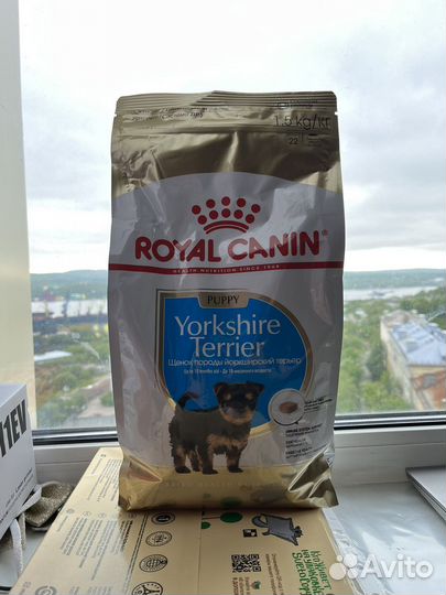 Royal Canin Йоркшеркский терьер щенок