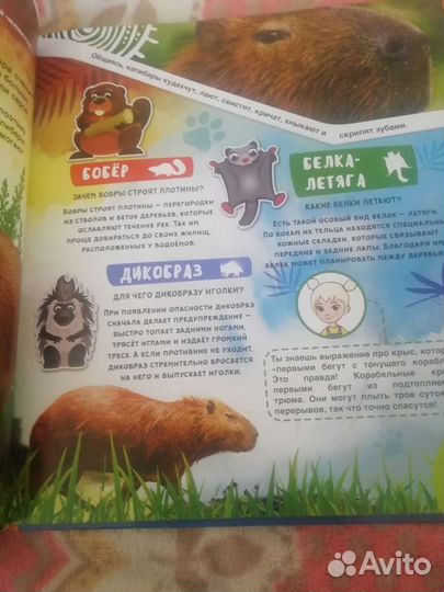 Детская энциклопедия. Животные 4 D