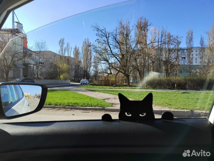 Игрушка кот