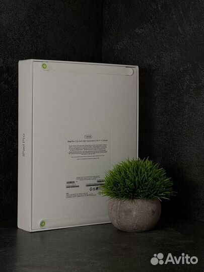 NEW iPad Pro 12.9 M2 128GB Wi-Fi + Cellular Gray