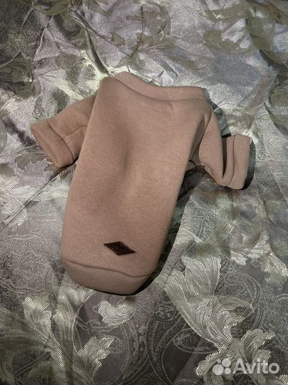 Худи для мелких пород собак