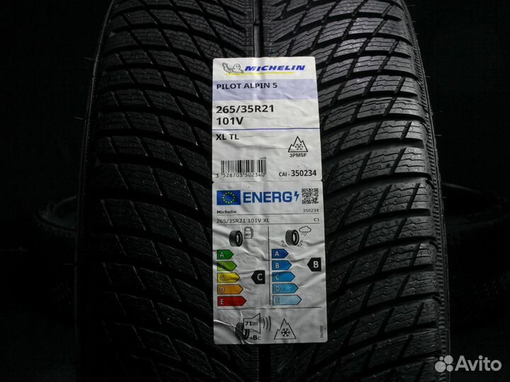Michelin Pilot Alpin 5 265/35 R21 и 305/30 R21 107V