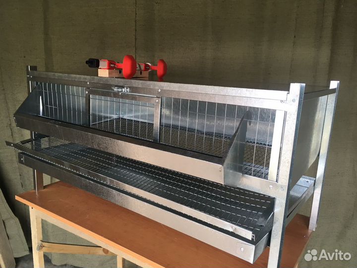 Клетка для 30-50 перепелов