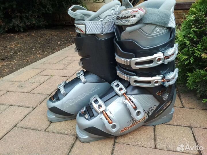 Горные лыжи