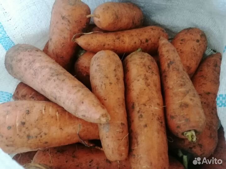 Морковь, картошка, репа