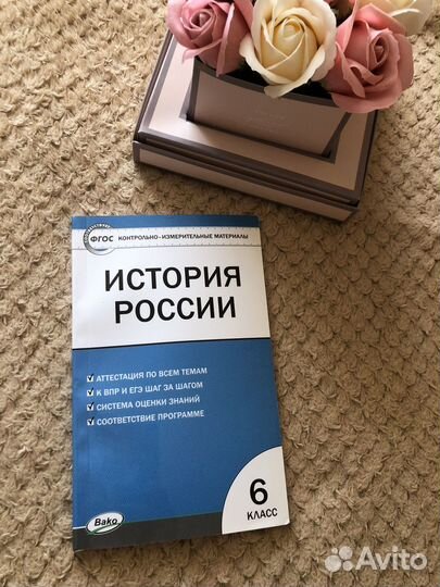 Тетрадь по впр 6 класс