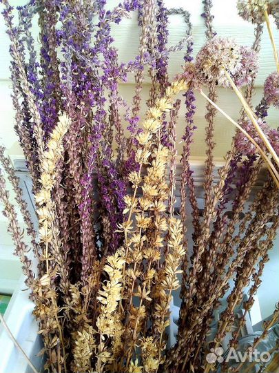 Лишайник уснея и др природные материалы