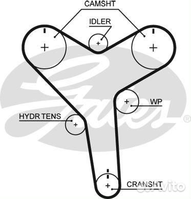 Ремень грм к/кт