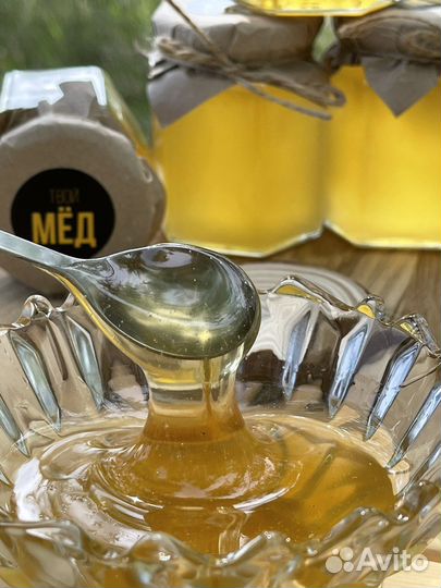 Мёд донниковый сбор 2023 натуральный Омский