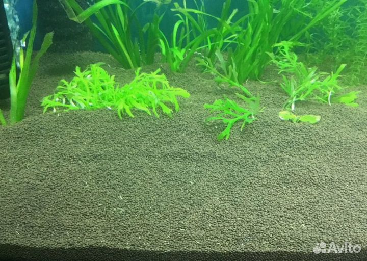 Грунт для аквариума/ террариума/ Оренбург