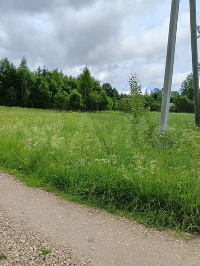 Участок 20 сот. (СНТ, ДНП)