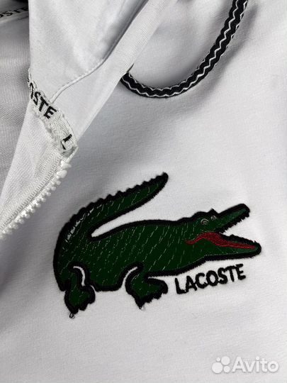 Костюм спортивный Lacoste р50/54