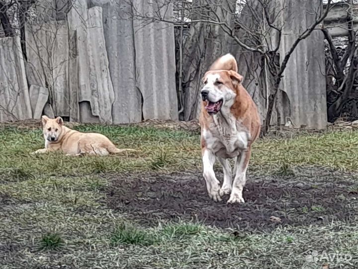 Кабель на вязку