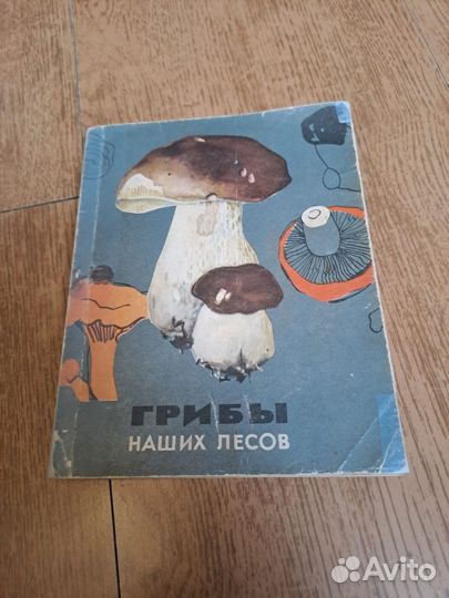 Книга Грибы наших лесов, 1965г