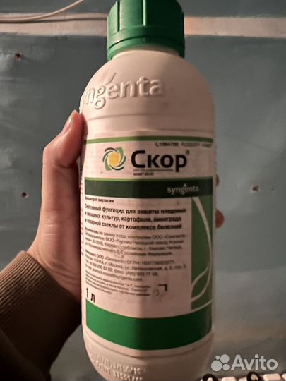 Фунгицид скор