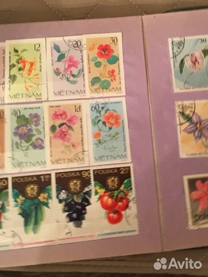 Коллекция флора