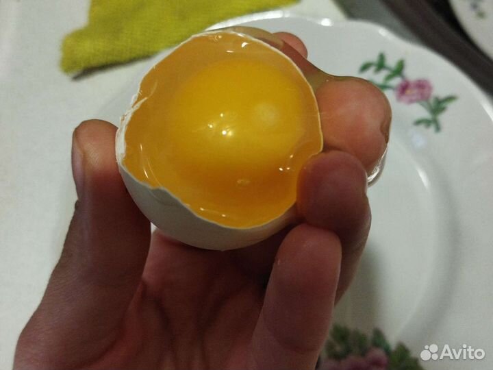 Домашние куриные, перепелиные яйца