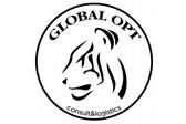 Global Opt