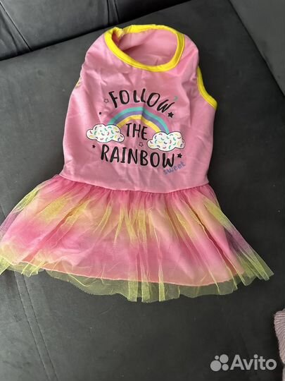 Вещи доя собаки