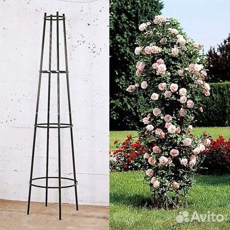 Шпалера садовая