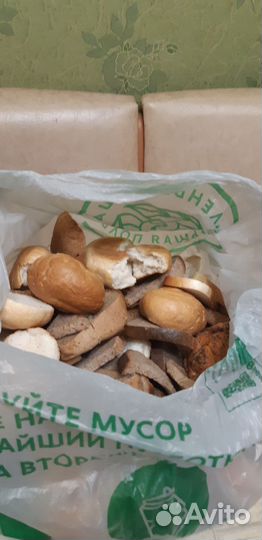 Отдам бесплатно