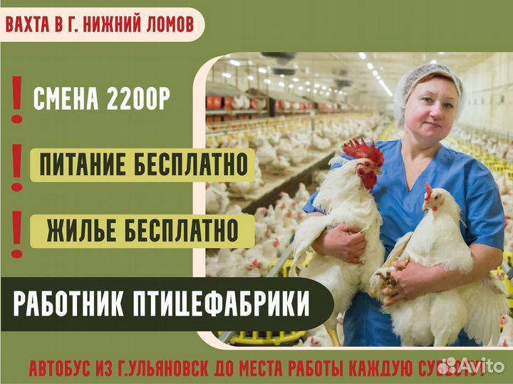 Работник птицефабрики/питание проживание Вахта