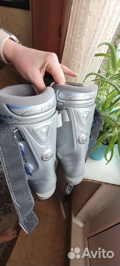 Ботинки для горных лыж tecnika