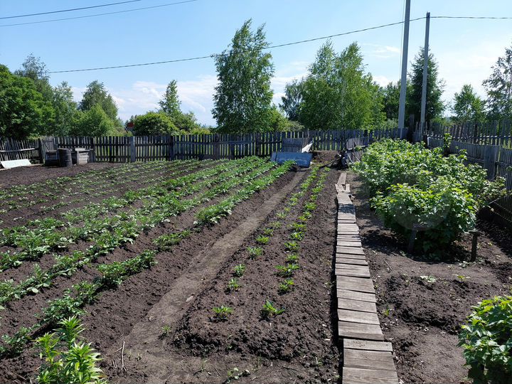 Участок 9,8 сот. (СНТ, ДНП)