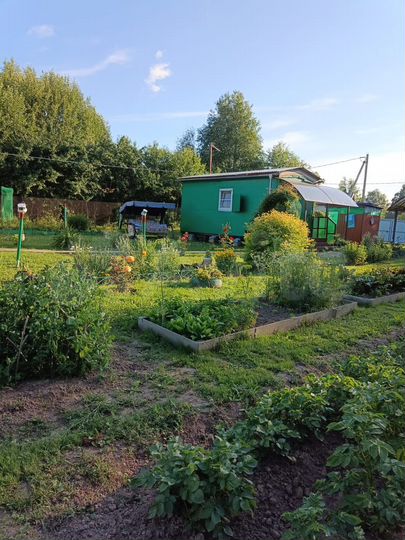 Участок 12 сот. (ИЖС)